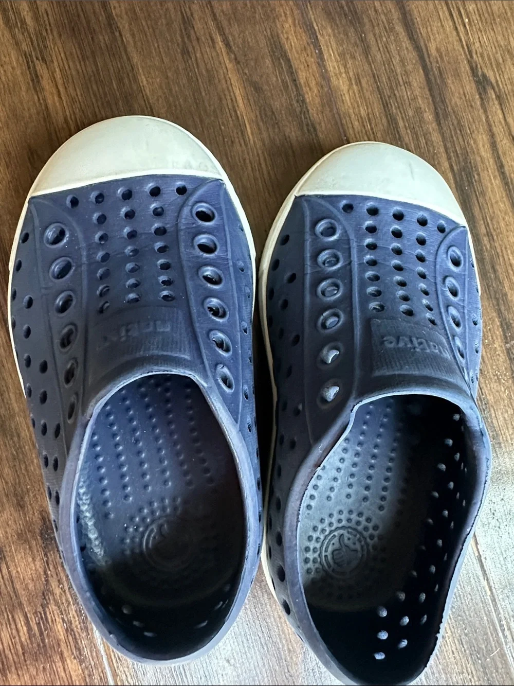 Native Shoes navy blue
